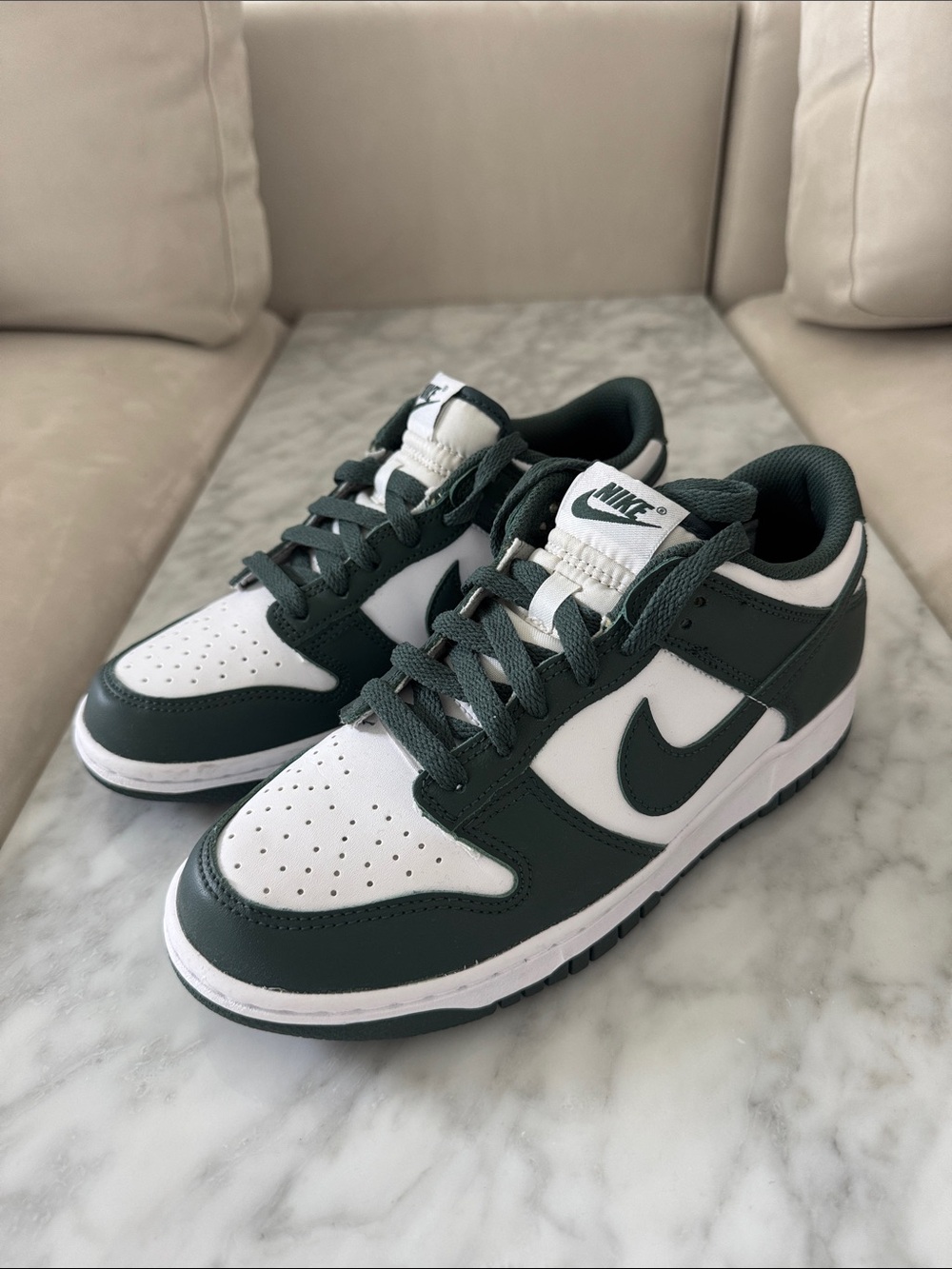Nike Dunks Low Top
